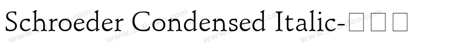 Schroeder Condensed Italic字体转换